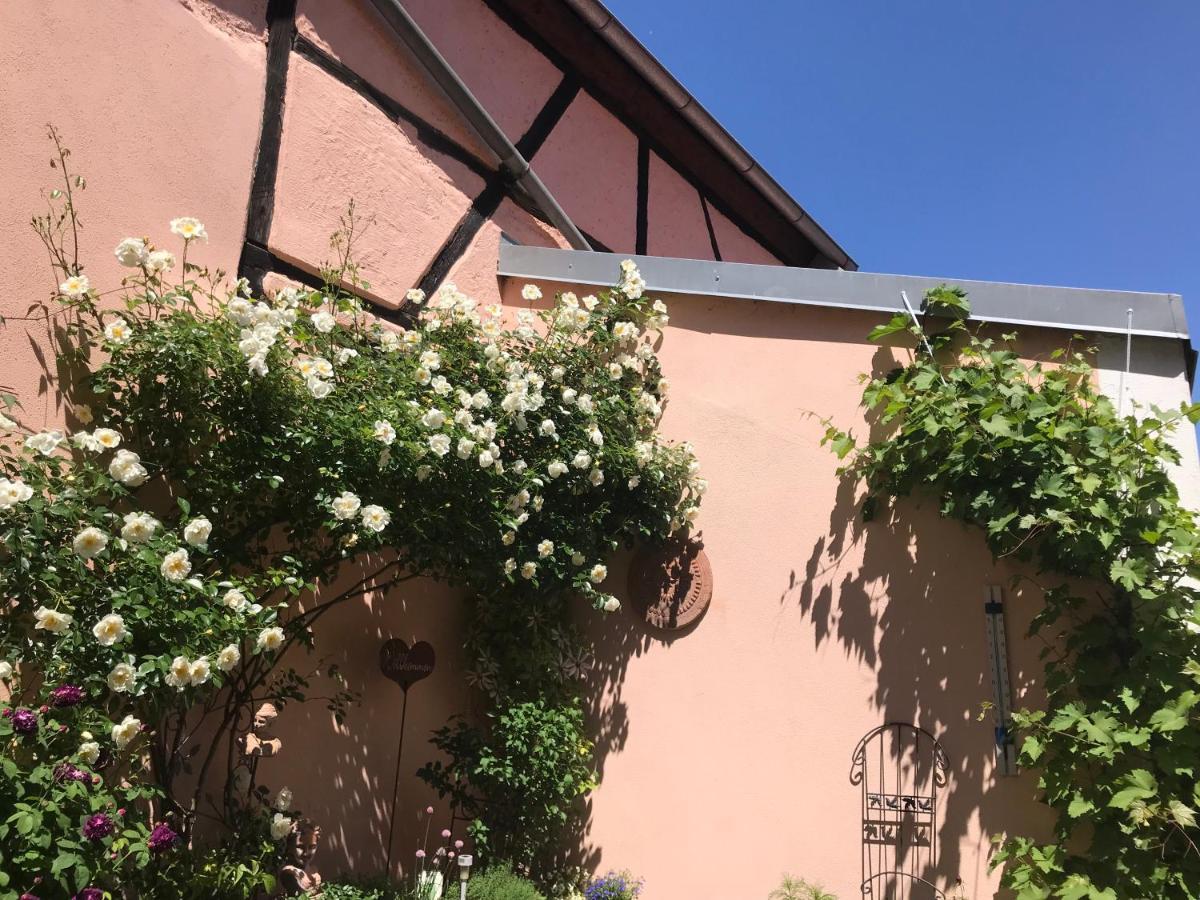Haus Am Markt Konigstein in der Oberpfalz Exterior photo